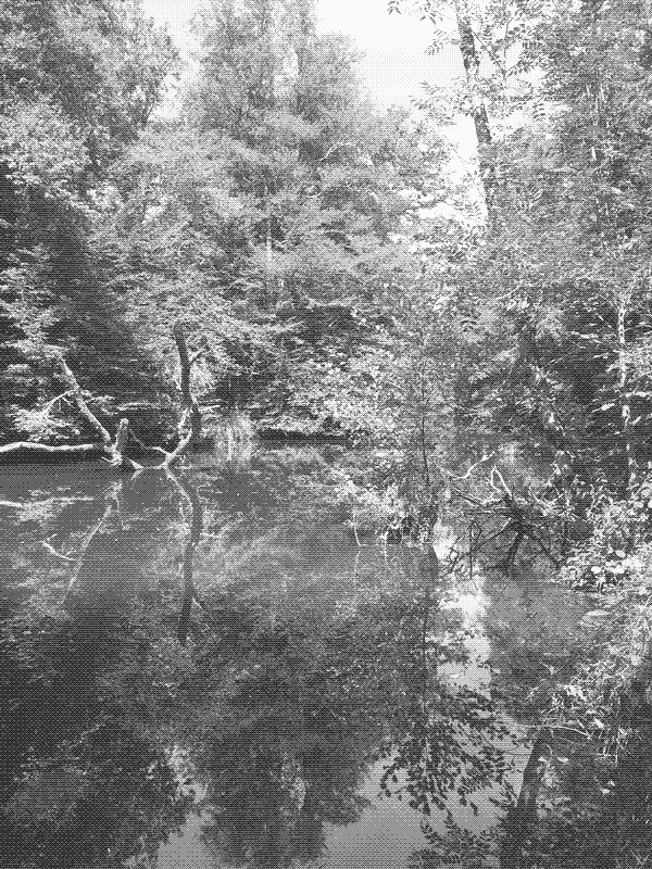 Vers le petit pont de la Semouse, à Ainvelle.
