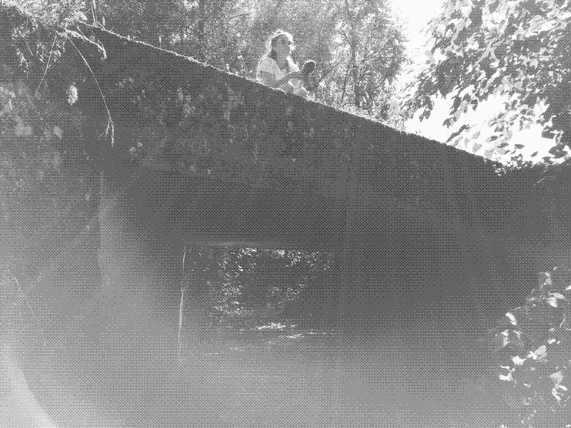 Field recordind, à Saint-Loup sur Semouse.