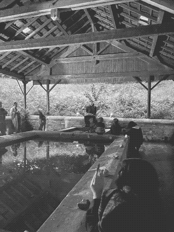 Restitution de résidence, performance de Jonathan Nass, à la fontaine du bois.